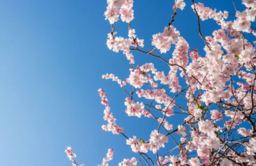 Screenshot 2025 12 18 155842