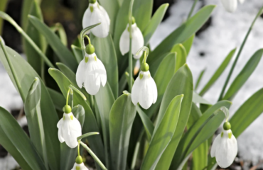 Screenshot 2026 01 29 at 14 24 03