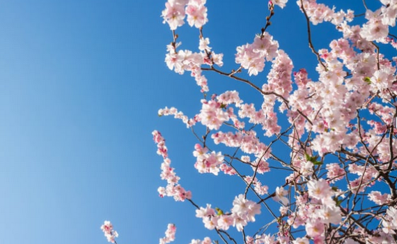 Screenshot 2025 12 18 155842