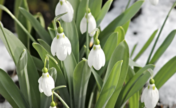 Screenshot 2026 01 29 at 14 24 03